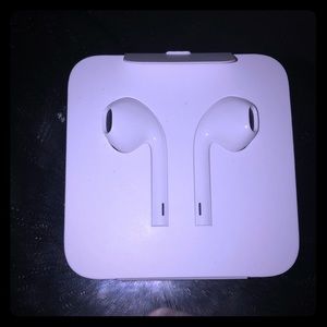 Regular Apple earphones